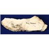 Image 1 : High-Grade Gold Ore, Hishikari Mine, Japan   [132280]