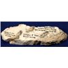 Image 2 : High-Grade Gold Ore, Hishikari Mine, Japan   [132280]