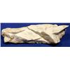 Image 1 : High-Grade Gold Ore, Hishikari Mine, Japan   [132294]