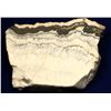 Image 2 : High-Grade Gold Ore Slab, Hishikari Mine, Japan  [131918]