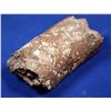 Image 1 : Native Copper Split Drill Core, Ray Mine, Pinal County, Arizona  [132375]