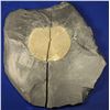 Image 1 : Pyrite Sun on Black Slate  [132888]
