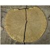 Image 2 : Pyrite Sun on Black Slate  [132888]