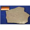 Image 2 : Native Copper in Sandstone, White Pine Mine, Ontonagan Co., Michigan  [132377]