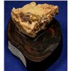Image 1 : Native Gold Specimen, Monarch Mine, Nevada  [131919]