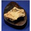 Image 2 : Native Gold Specimen, Monarch Mine, Nevada  [131919]
