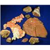 Image 1 : Chino Mine Native Copper, Pyrite, and Bornite - 8 pcs  [132445]