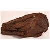 Image 1 : Basalt Lava Bomb from Oregon  [132534]