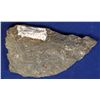 Image 2 : High-Grade Gold Ore, Buckhorn Mine, Okanogen County, Washington   [132298]
