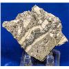 Image 1 : Gold Ore Slab, Cannon Mine, Wenatchee, Washington  [131925]