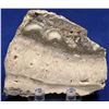 Image 1 : High-Grade Gold Ore Slab, Unknown Location  [132297]