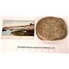 Image 1 : Green River Petrified Turtle Shell  [121713]