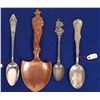 Image 1 : Colorado Mining Silver Spoon Group  [134005]
