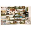 Image 1 : Lake Tahoe Postcard Collection  [130029]
