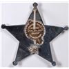 Image 2 : Deputy Circuit Clerks Badge  [130128]