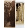 Image 1 : Yosemite Early Photographs, Redwoods, Outstanding Quality (2 photos)  [132260]