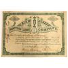 Image 1 : Baxter Electric Light Company Stock Certificate, New York  [118373]