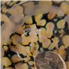 Image 3 : Large Ikebana Bowl by GartnerBlade Glass