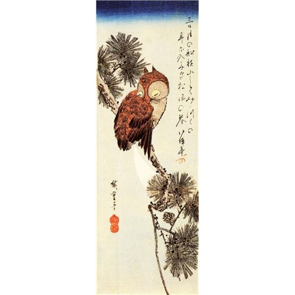 Hiroshige Small Brown Owl on a Pine Branch