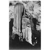 Image 1 : Adams - Carlsbad Caverns National Park New Mexico