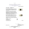 Image 5 : 2.95 ctw Blue Sapphire And Diamond Ring - 14KT Yellow Gold