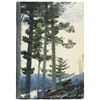 Image 1 : Homer - Old Settlers
