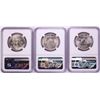 Image 2 : Lot of 1952-D to 1954-D Franklin Half Dollar Coins NGC MS63FBL