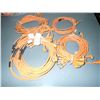 Image 3 : Huge Lot of Efector Cables