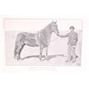 Image 13 : 1st edition 1895 "The Boy General" By Glazier