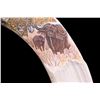 Image 8 : African Game Trophy Scrimshaw Hippo Tooth