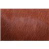 Image 5 : Red Angus Brown Cowhide Premium Pillow Set of Two