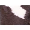 Image 5 : Holstein Spotted Cowhide Premium Pillow Set of Two