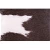 Image 6 : Holstein Spotted Cowhide Premium Pillow Set of Two