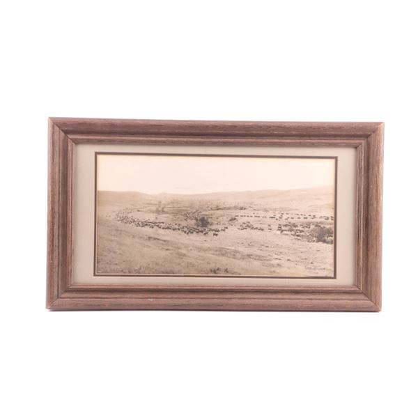 Throwing Rangers To The Roundup by L.A. Huffman