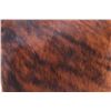 Image 7 : Brindle Brown & Black Cowhide Premium Two Pillows