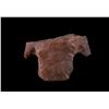 Image 8 : Collection of Arrowhead/ Native American Artifacts