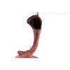 Image 10 : Big Horn Sheep Horn & Burl Lamp c. Mid 1900's