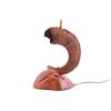 Image 4 : Big Horn Sheep Horn & Burl Lamp c. Mid 1900's