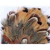 Image 6 : Pheasant Feather Hand Made Hat Plumes & Boxes