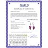 Image 2 : Genuine 20 ctw Amethyst Earrings 14KT White Gold - REF-51N8R