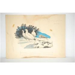 BILL GRIFFITH WATERCOLOR-GOUACHE FOR "SPOR