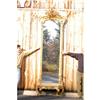 Image 1 : VICT. PIER MIRROR W/ MARBLE TOP BASE-ROCOC