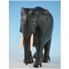 Image 3 : Carved Elephant w Pre-Ban Ivory Tusks