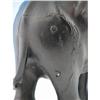Image 4 : Large Carved Elephant w Pre-Ban Ivory Tusks