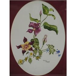 Colin Marsh Watercolor