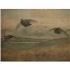Image 2 : Ca. 1899 Ornate Framed Flying Fowl