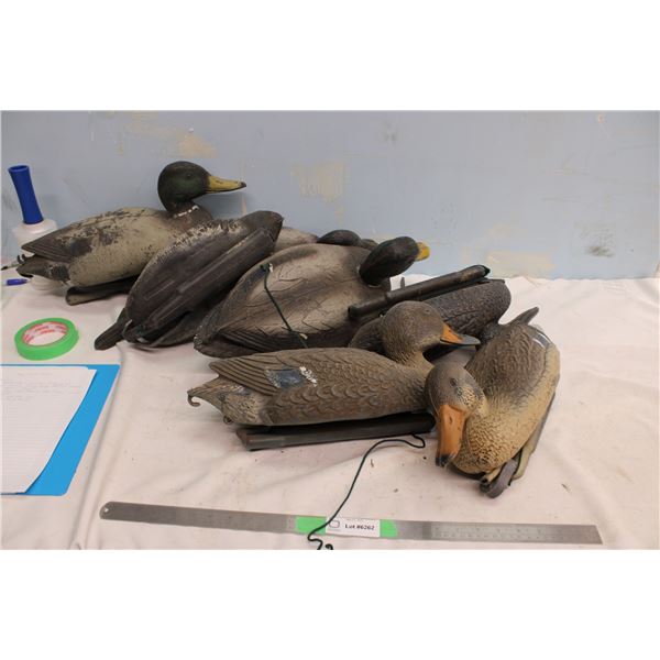 Seven Floating Duck Decoys