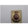Image 2 : Logistics Branch -Servitium Nulli Secundus Badge?