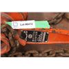 Image 2 : Winch Chain
