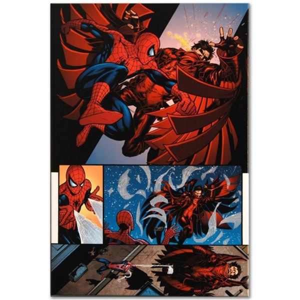 Marvel Comics  The Amazing Spider-Man #594  Numbered Limited Edition Giclee on C